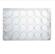 德國艾本德(Eppendorf)Cell Culture Plates,24-Well,無菌無熱原,無RNase和DNase,無人類和細菌DNA,無細胞毒素,未處理,1mL,60塊,獨立包裝